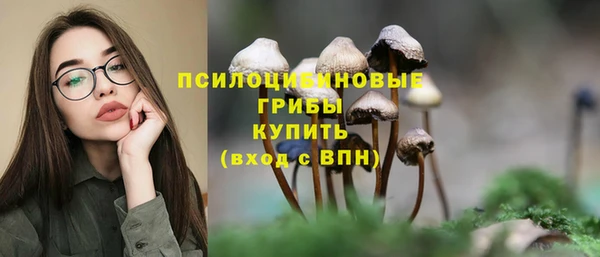 мескалин Киреевск