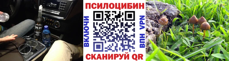 Купить закладки  Дно  Псилоцибиновые грибы прущие грибы 