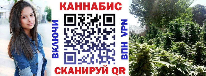 Купить закладки  Дно  Бошки Шишки планчик 